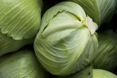 Organic Lettuce