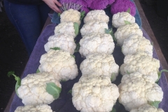 Cauliflower