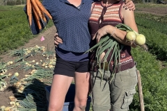 Farm Team
